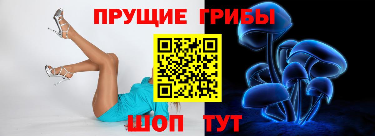 Псилоцибиновые грибы MAGIC MUSHROOMS  Вход с VPN  Новоалтайск 